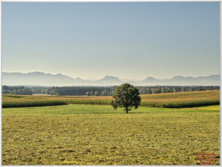 Bergham / Eiselfing Bauabschnitt II.