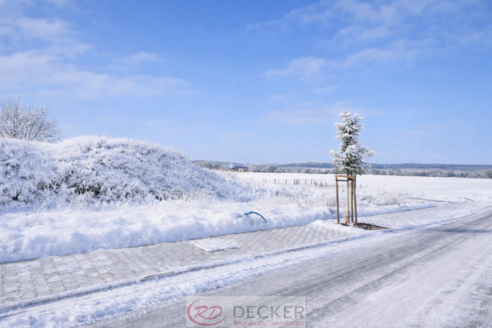 3 Freunde und Sie – 4 Häuser auf einem Grundstück